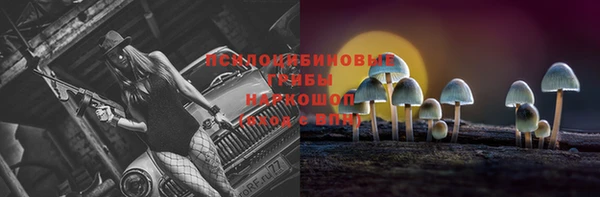 дурь Заводоуковск