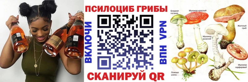 Купить  Лыткарино  Галлюциногенные грибы ЛСД 